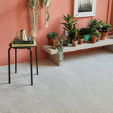 Rosneath Saxony - Carpet- Coast Road Furniture | Flintshire