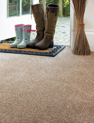 Choosing a Pet Friendly Carpet