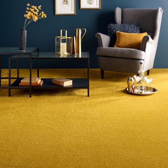 Why Abingdon’s Stainfree Carpet Range is a Game-Changer for Homes