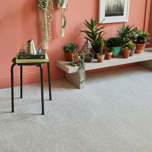 All about carpets