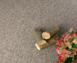 Hercules Carpet - Flooring & Carpet- Coast Road Furniture | Flintshire