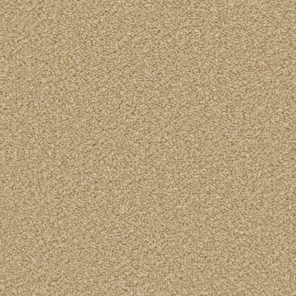 In-Stock Clearance Carpet - - Coast Road Furniture | Flintshire