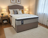 Sealy Discovery [CLEARANCE BED] - Mattresses- Coast Road Furniture | Flintshire