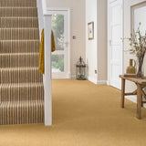 Hatton Twist Collection - Carpet- Coast Road Furniture | Flintshire