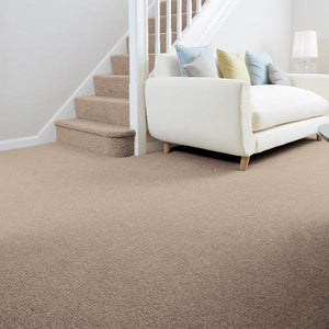 Montrose Collection (3m Available) - Carpet- Coast Road Furniture | Flintshire