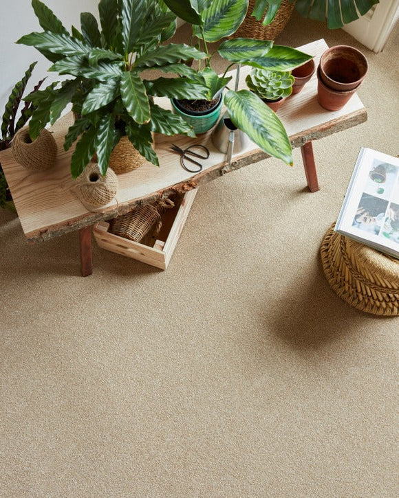 Presence - Flooring & Carpet- Coast Road Furniture | Flintshire