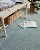 Rosneath Saxony - Carpet- Coast Road Furniture | Flintshire