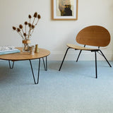 Status Twist Excel - Carpet- Coast Road Furniture | Flintshire